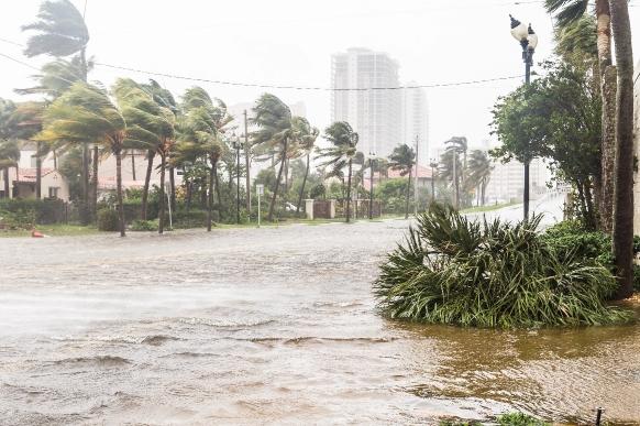 Facts About Flooding in Florida