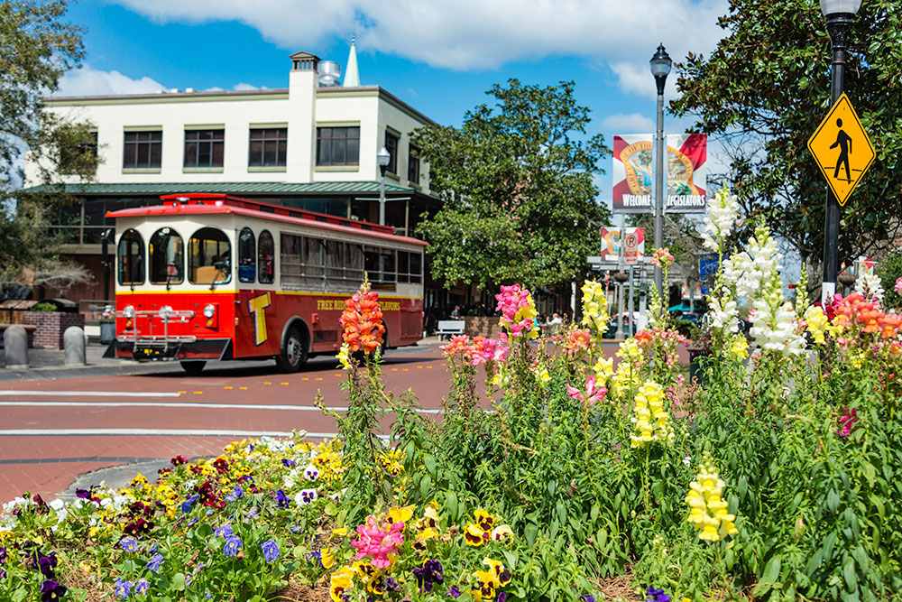 Pedestrian Accidents Explained Tallahassee, Florida