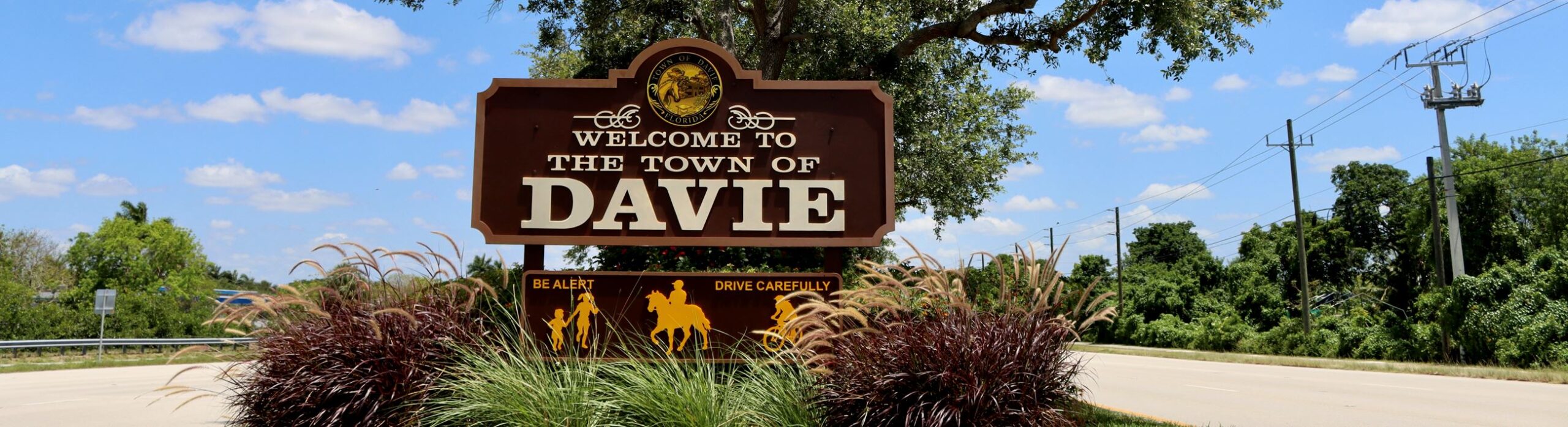 Pedestrian Accidents in Davie Town, Florida