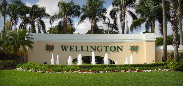 Uninsured Motorists in Wellington Village, Florida