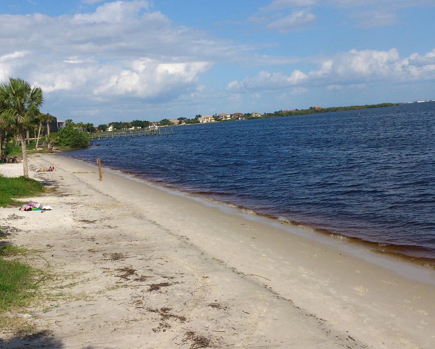 Distracted Driving in Port Charlotte, Florida