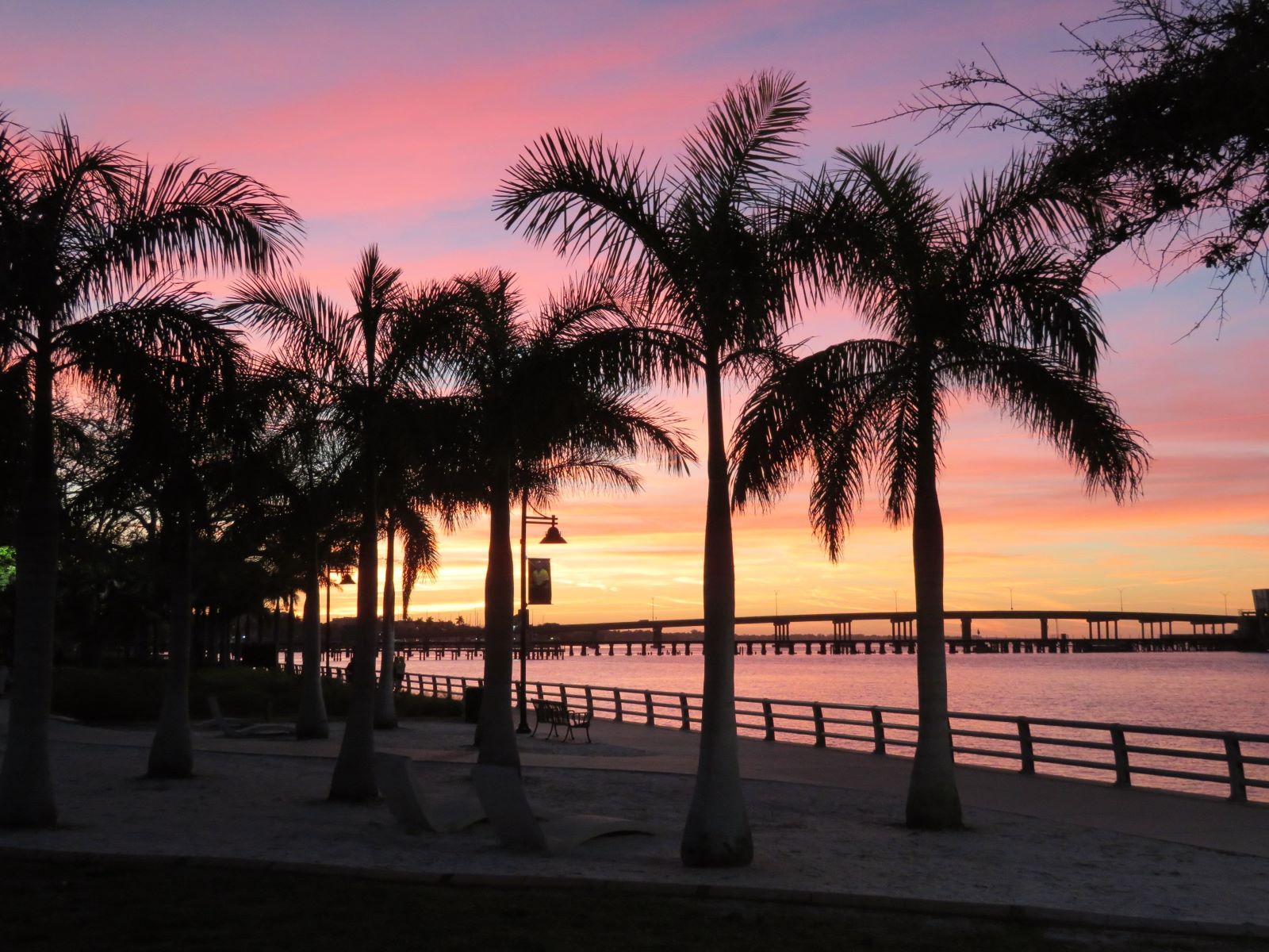 Distracted Driving in Bradenton, Florida