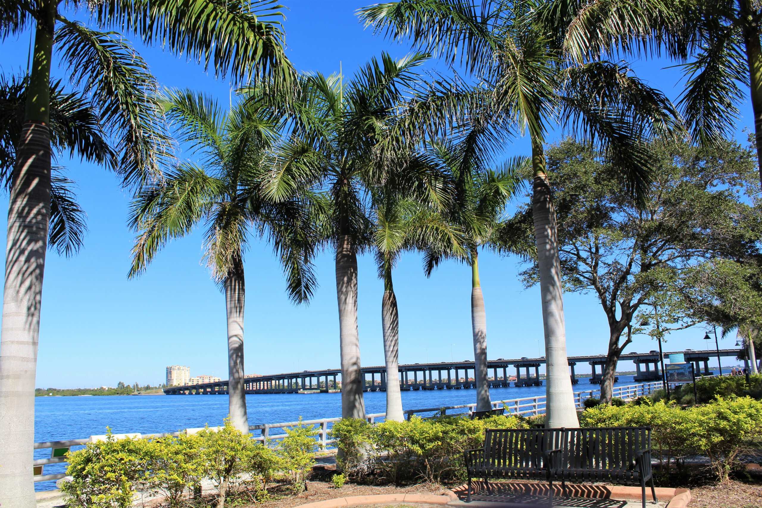 Slip and Fall's in Bradenton, Florida